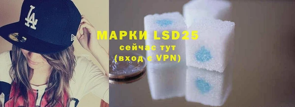 гидра Бронницы