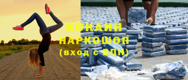 гидра Бронницы