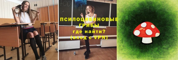 гидра Бронницы