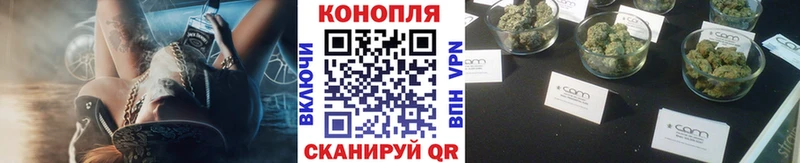 Конопля планчик  KRAKEN   Сретенск 